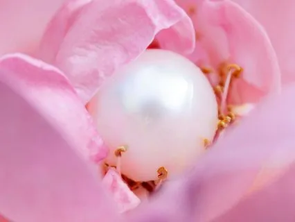 Transmuting Shame To Self-Compassion: Womb Chakra Meditation