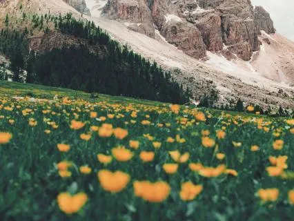 Transmuting Stress Into Stillness - You Can Do It