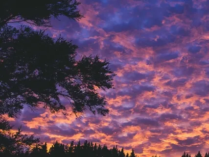 Transmuting With The Violet Flame