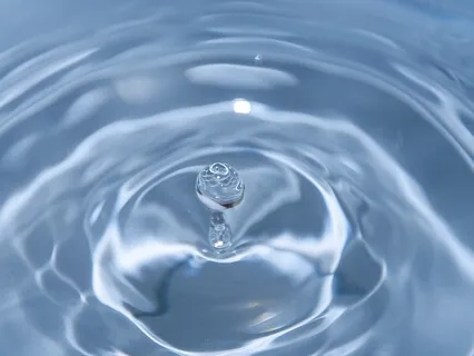 Transparent Communication In Your Biz