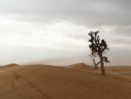 Trauma And Disconnection