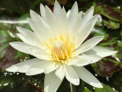 Reset Series - 1. Anxiety Relief