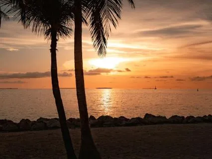 Trauma-Informed Body Awareness (No Music)