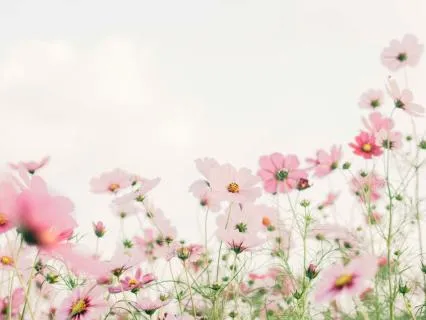 Trauma-Informed Body-Scan: Feel Safe In Your Body