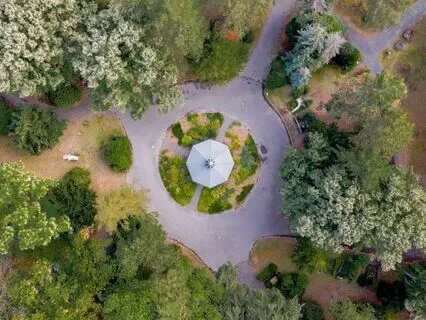 Trauma Informed Care - Essentials