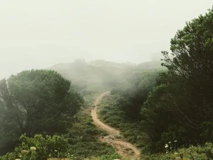 Trauma-Informed Gentle Relaxation And Safe Imagery