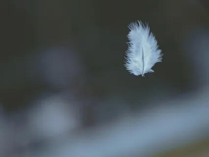 Trauma Informed Mindfulness