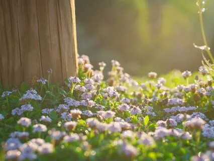 Trauma-informed Sleep Affirmations For Friendship