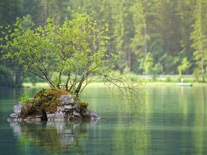 Trauma Informed Sleep Affirmations For Safety And Security