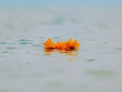 Trauma-Informed Yoga Nidra Anchoring With Compassion