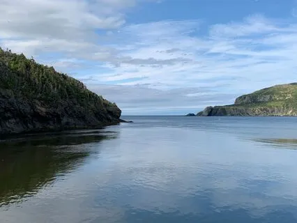 Trauma Informed Yoga Nidra And Layers Of Being