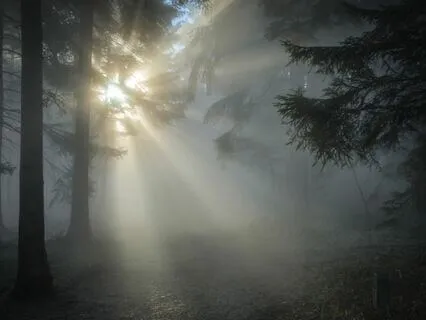 Trauma Release Series - Powerful Harp To Help You Fly