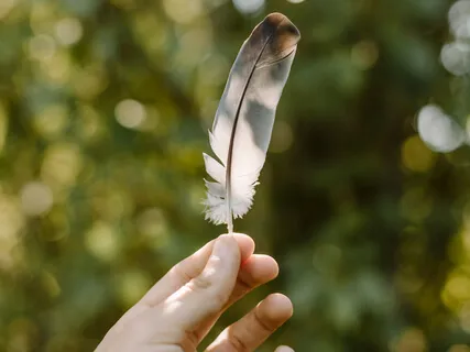 Trauma Release Meditation With Solfeggio Sounds