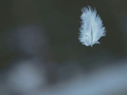 Trauma Release Series - Heavenly Harp To Keep You Safe