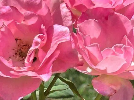 Trauma-Sensitive  Body Scan