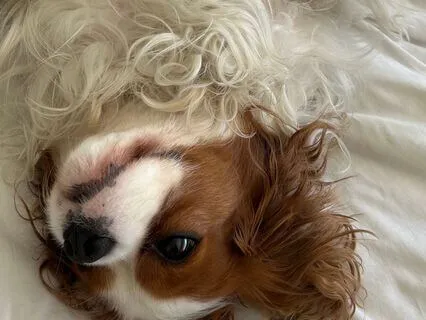 Trauma Sensitive Brief Yoga Practice