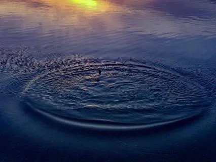 Trauma Sensitive Emotional Regulation