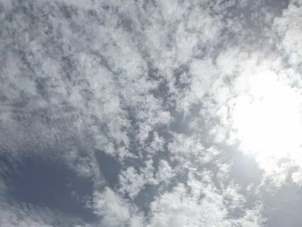 Processing Trauma - Guided Meditation