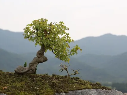 Trauma Unpacked, Episode 2