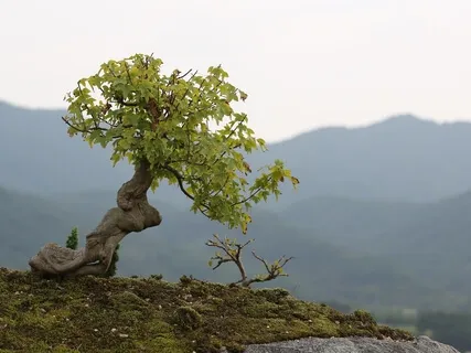 Trauma Unpacked, Episode 4