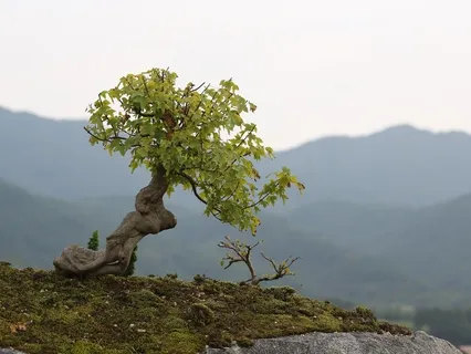 Trauma Unpacked, Episode 5