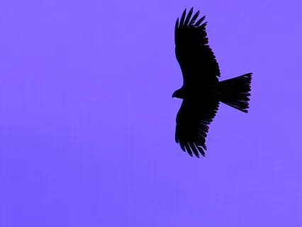 Travel De-Stress Meditation