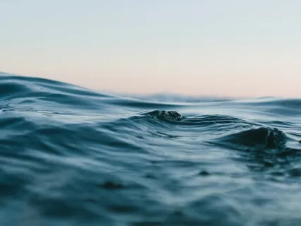 Traversing The Inner Landscape - Body Scan - Pain - MBSR