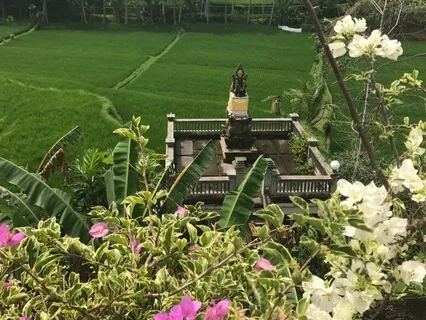 Trazer a mente para casa