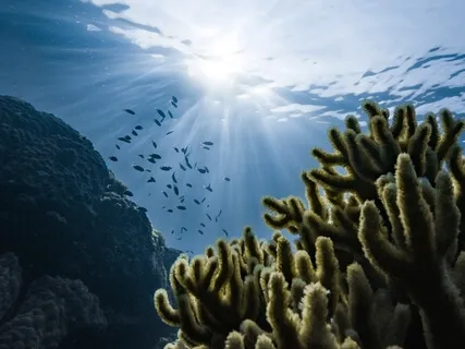 Treasure Chest Of Truth