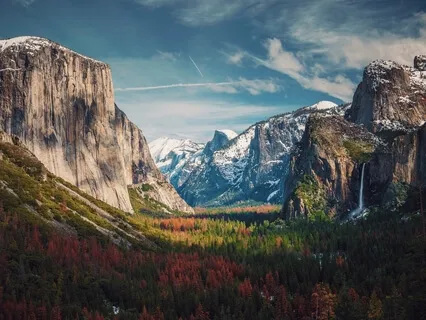 Tree Agate Meditation: Connecting With Nature