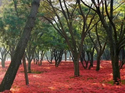 Tree & Garden In Your Mind With Poem, "The Breather," By Billy Collins