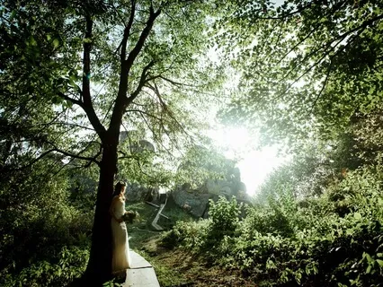 Tree Breathing: Breath Of The Forest