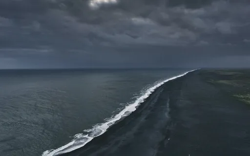 Tree Frogs & The Beach