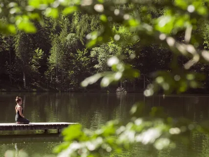Tree Meditation: Connecting To Nature