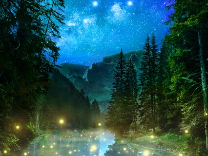 Tree Of Life Yoga Nidra For Deep Sleep