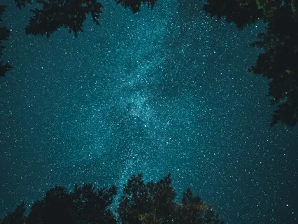 Treehouse In The Woodlands: Sleep Story & Bedtime Meditation