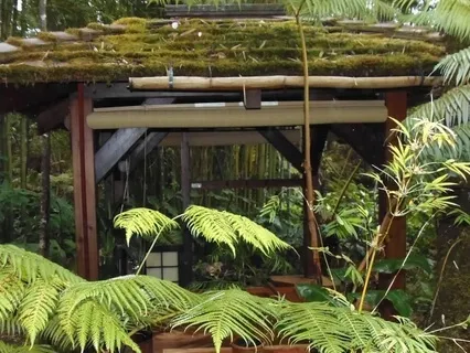 Treehouse Spirit Guide Encounters