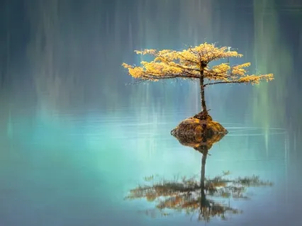 תרגול יומי קצר - סריקה והתמקדות בנשימה