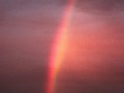 Tribal Tranquility - Melodies From The Past