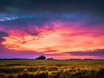 Tribal Twilight - Whispers Of Forgotten Wisdom