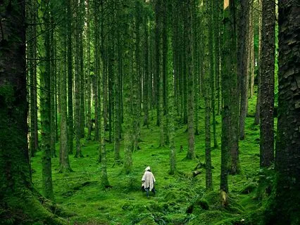 Tried And True Ways That Work On The Spiritual Path