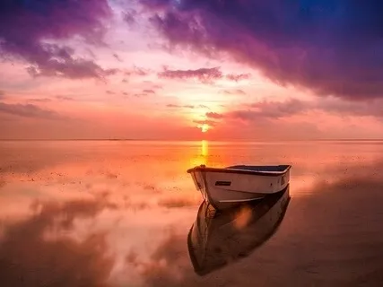 Trigger Crappy & Toxic Shame (Season 1)