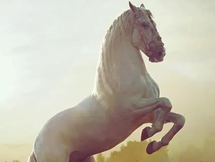 Trigger To Tranquil: Activated State