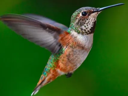 Triggered: Rewiring Your Nervous System