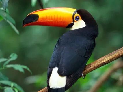 Triggers Awareness: Understanding & Exploring Triggers