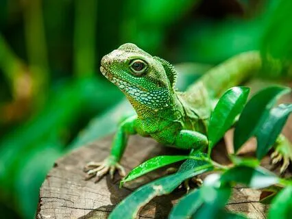 Triggers: Reclaiming Emotional Freedom, Bring In Resilience