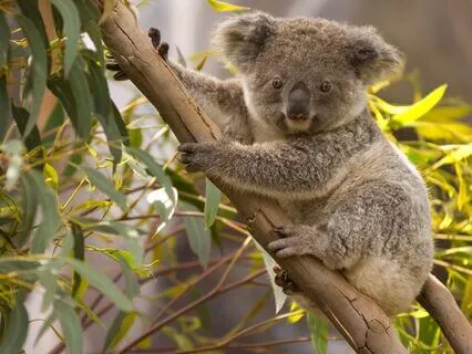 Triggers Releasing: Through Emotional Processing