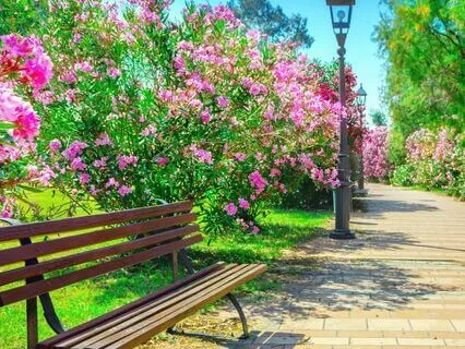 Trip To The Alien Mothership: Bedtime Story