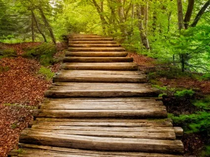 Troba el teu Espai Interior 