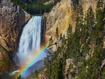 Trophic Cascades: How One Shift Restores Your Body's Balance
